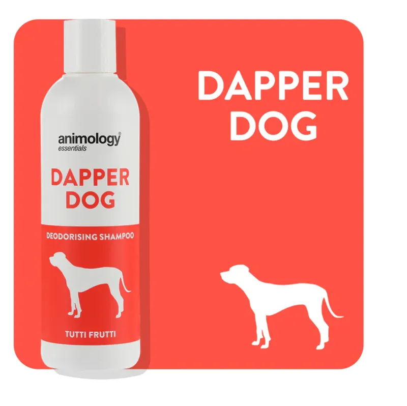 Animology Essentials Dapper Dog Tutti Frutti Shampoo - 250 ml