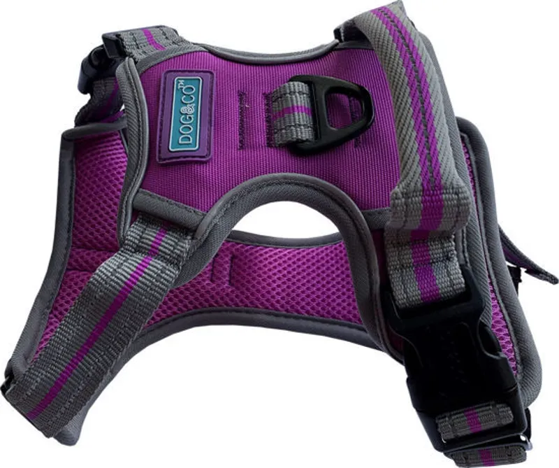 HEM AND BOO SPORTS HARNESS LARGE PURPLE