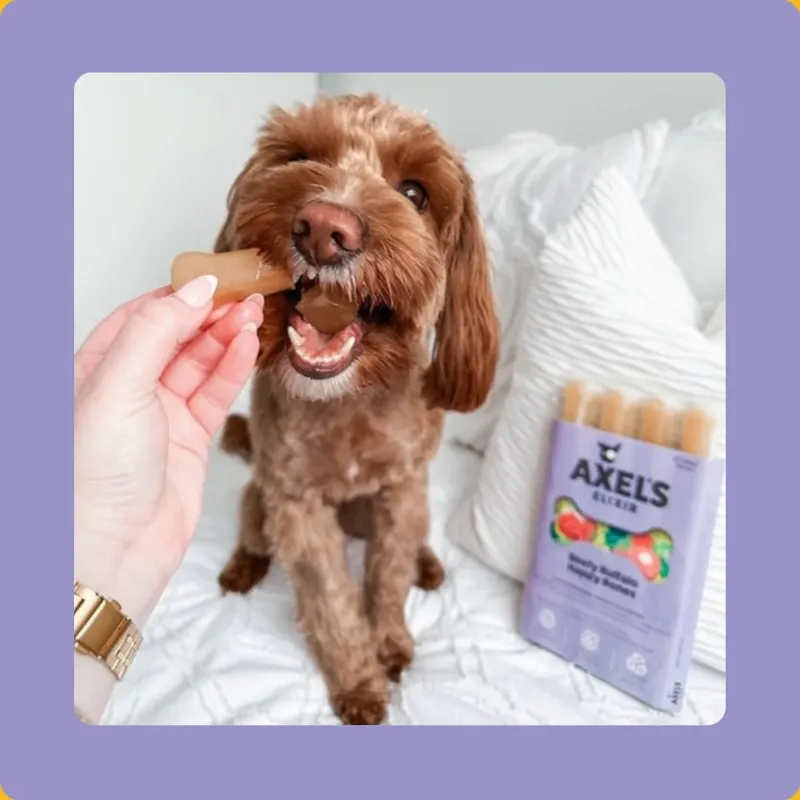 Axel's Elixir Beefy Buffalo Happy Bones-1