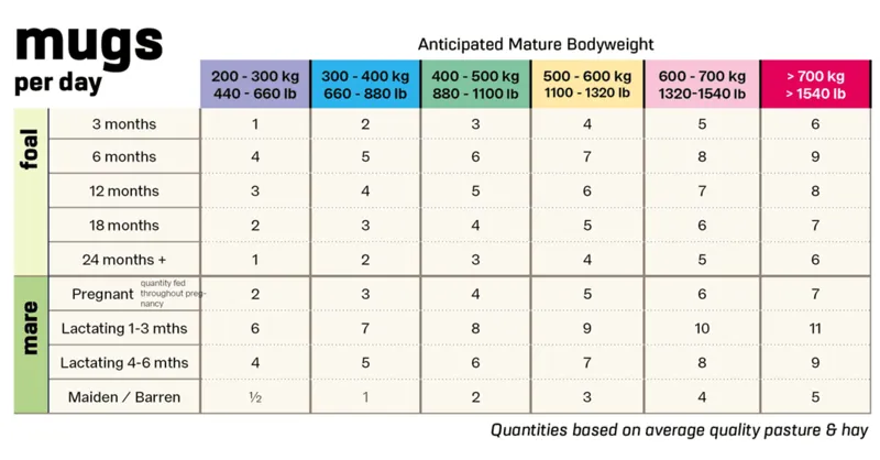 BAILEYS STUD BALANCER 20KG-1