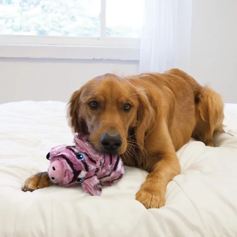 Kong Stripes Pig Med-1