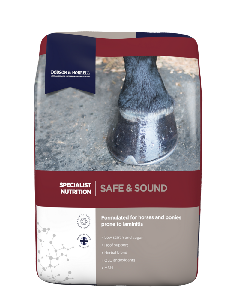 DODSON and HORRELL SAFE N SOUND 20KG