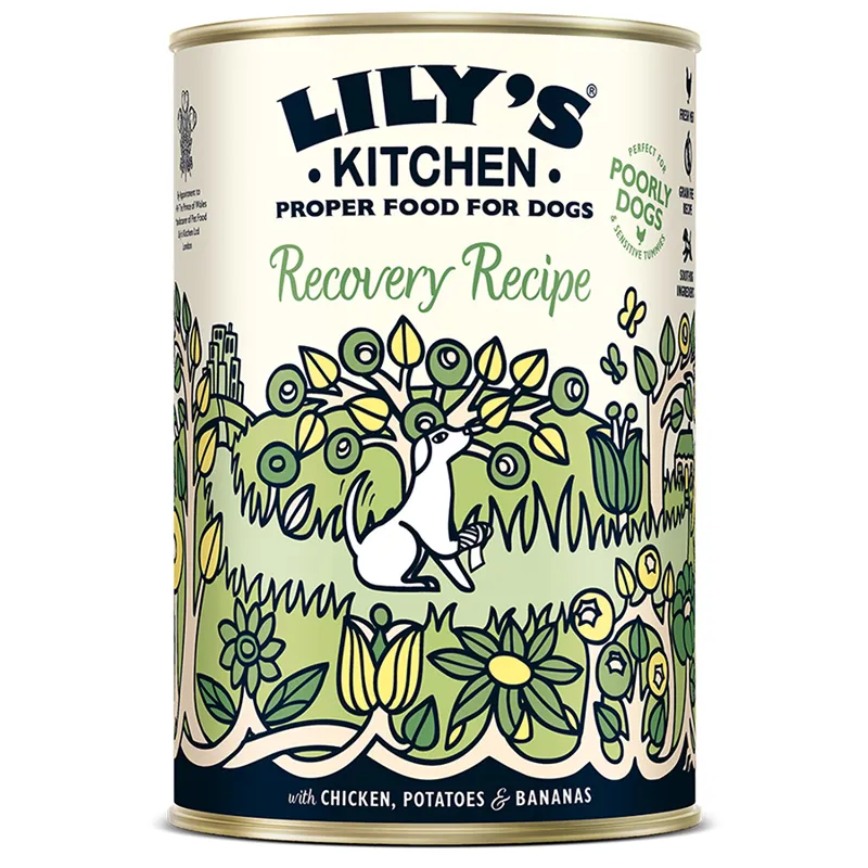 Lilys Kitchen Recovery Recipe 400g