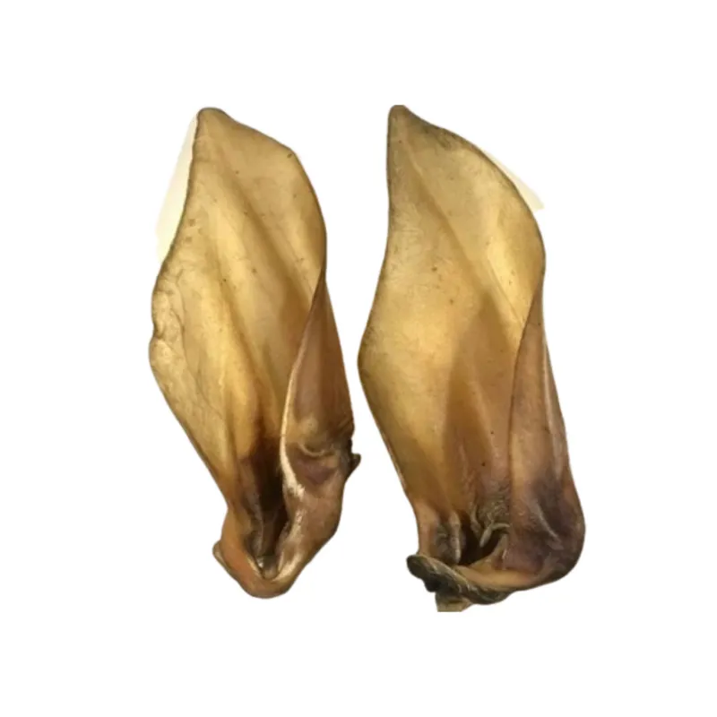 BUFFALO EAR x1