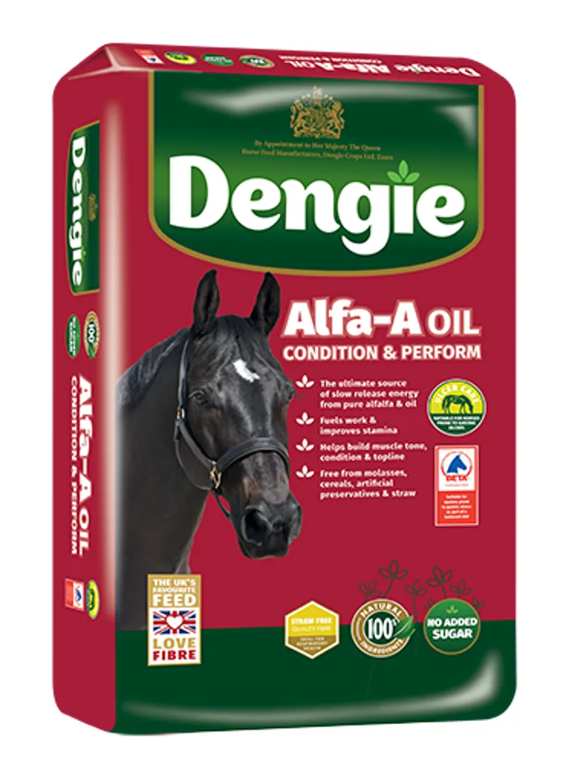 DENGIE ALFA A OIL