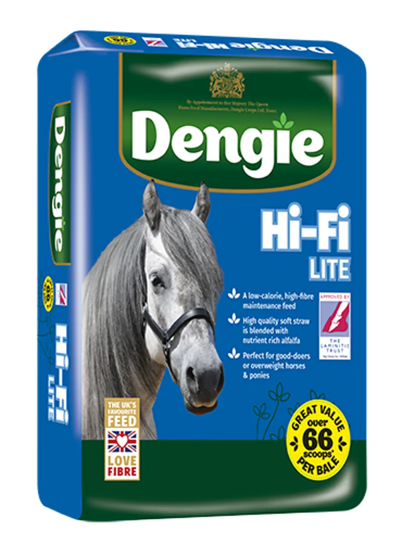 DENGIE HI-FI LITE