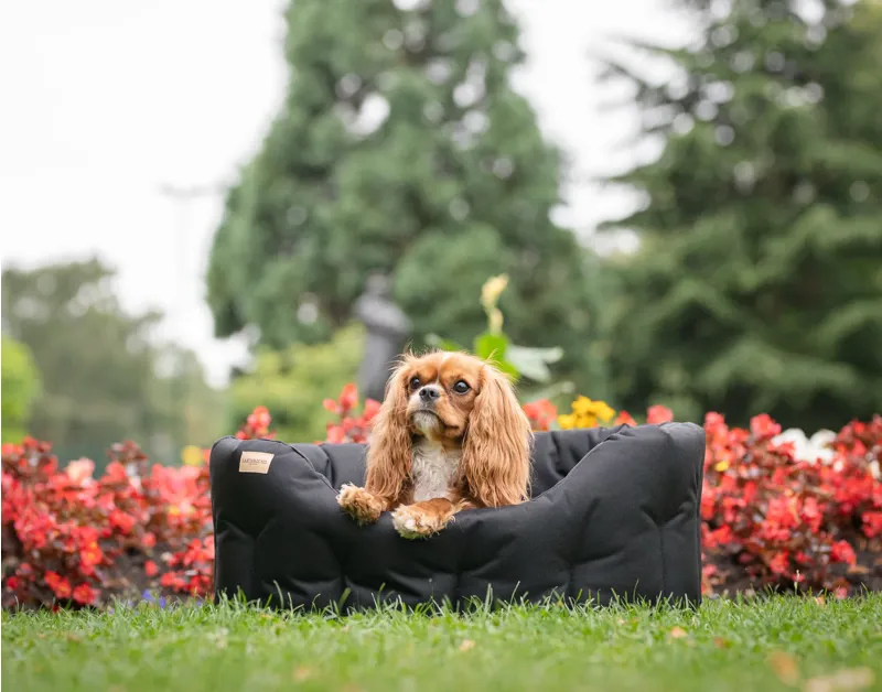 Earthbound Waterproof Bed Black Medium