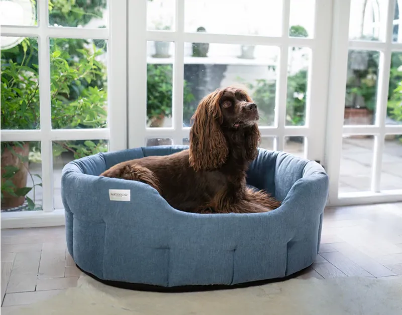 EARTHBOUND ORKNEY DAISY BLUE MED