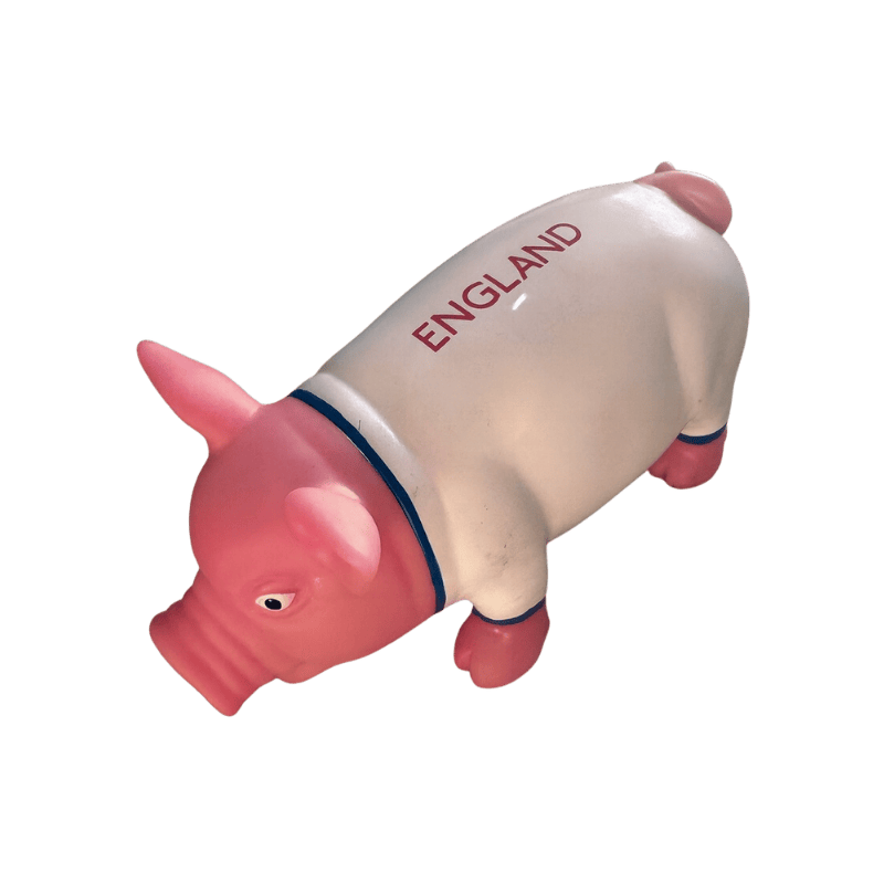 Honking England Pig WORLD CUP EXCLUSIVE
