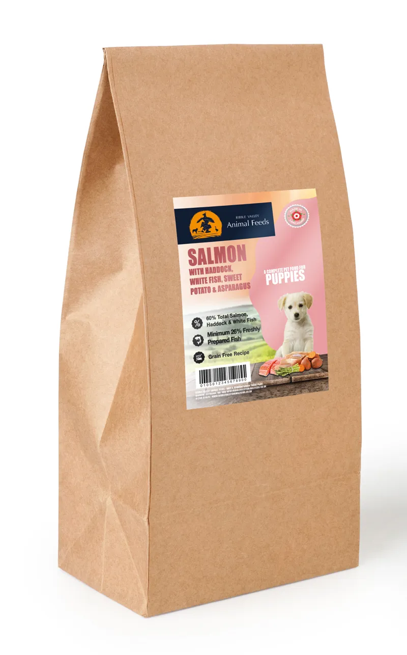 GRAIN FREE PUPPY SALMON - Sensitive Dogs And Grain Free Salmon Food