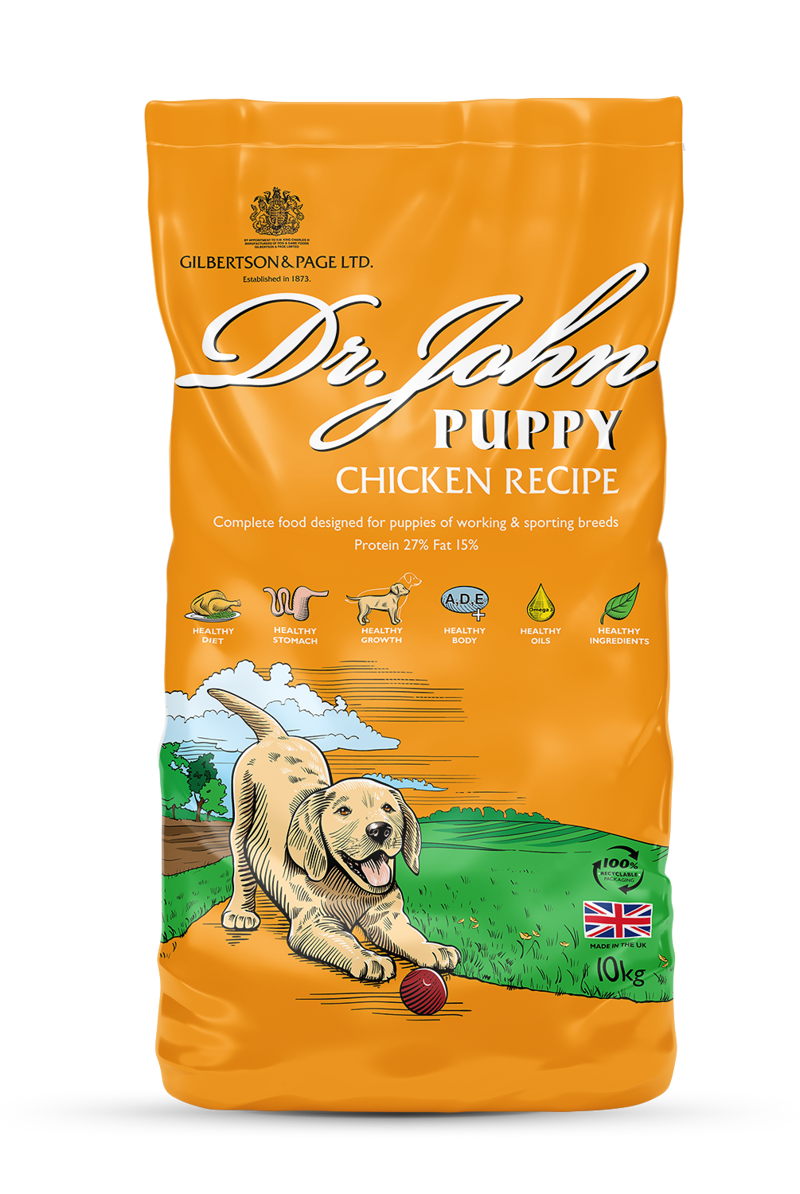 DR JOHN PUPPY 10KG