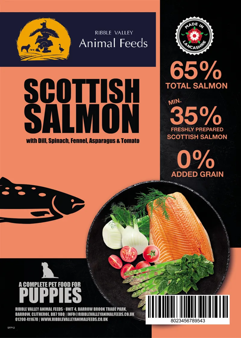 Superfood Scottish Salmon Puppy