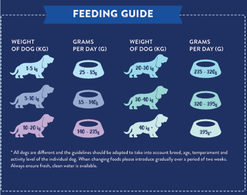 Superfood Scottish Salmon Puppy-1