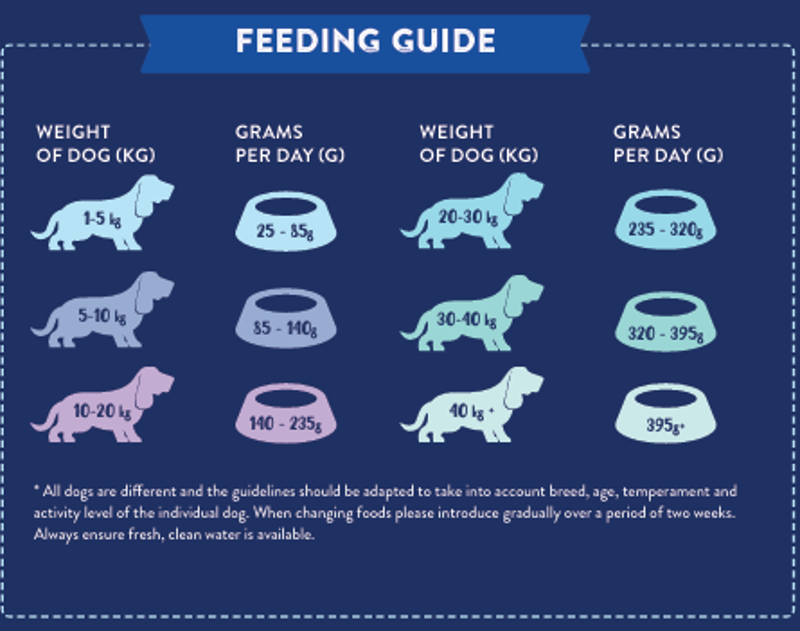 Superfood Angus Beef Puppy-1