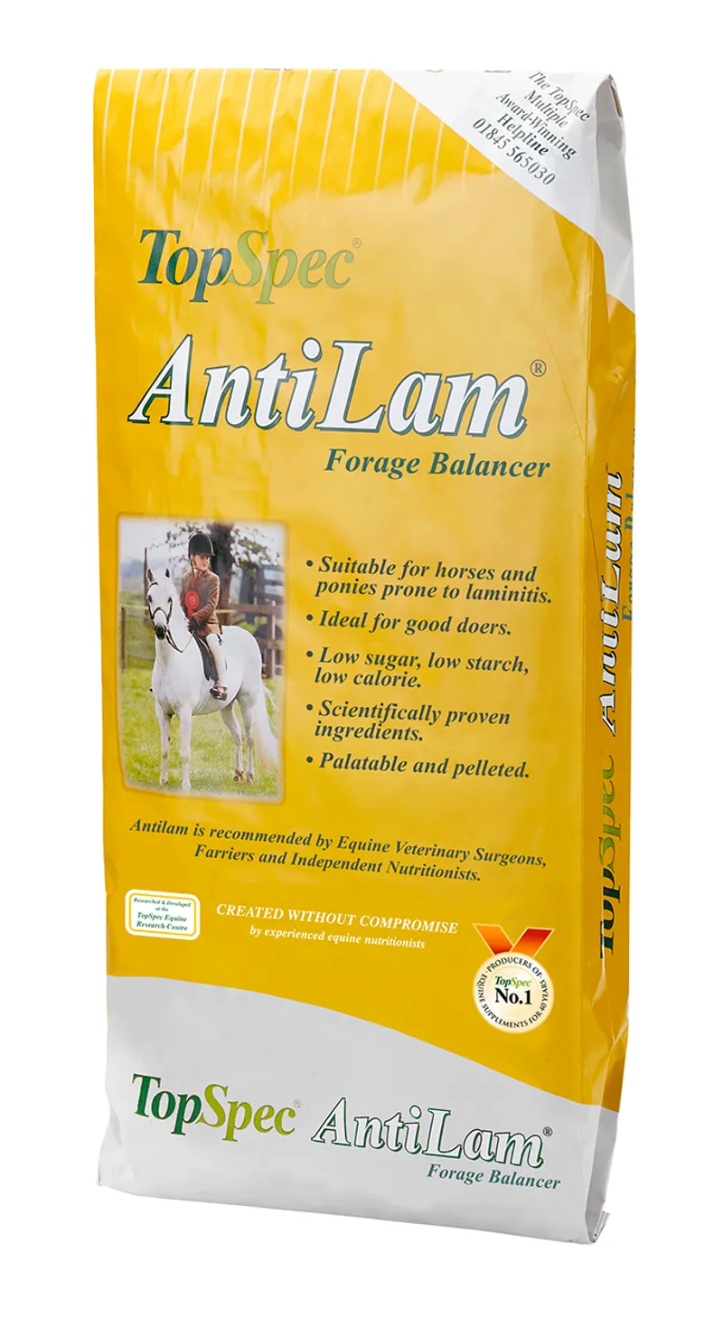 TOPSPEC ANTILAM 15KG