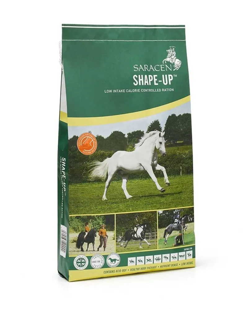 SARACEN SHAPE UP BALANCER 20KG