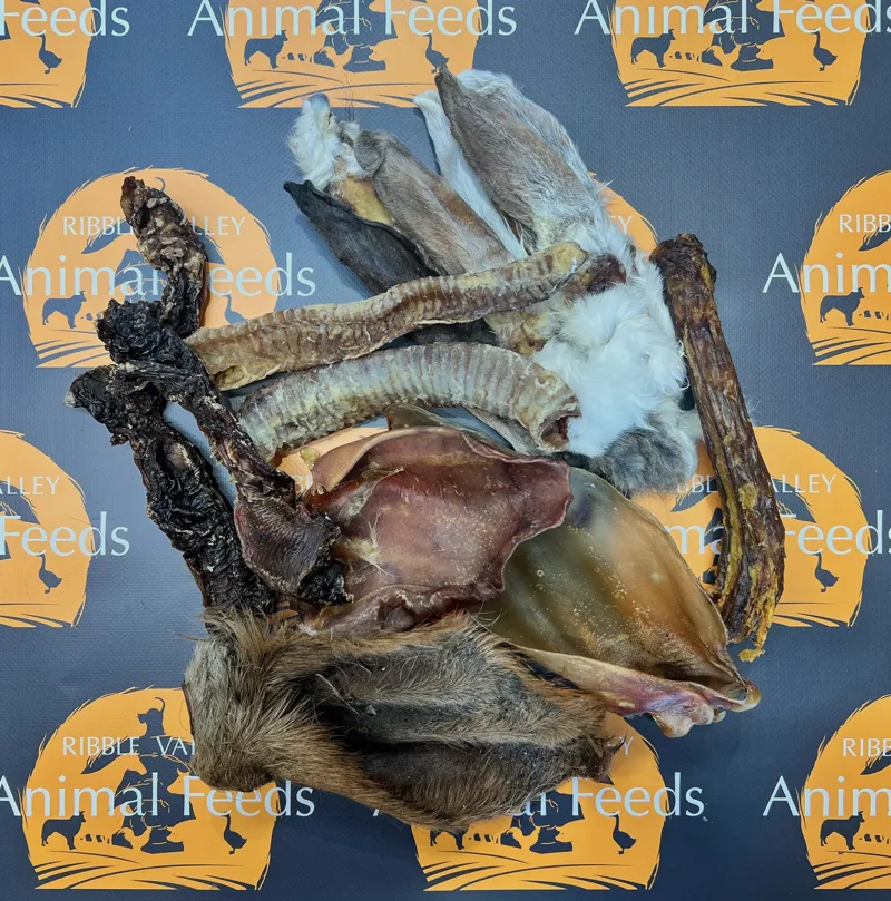 No Wings Natural Dog Treat Box