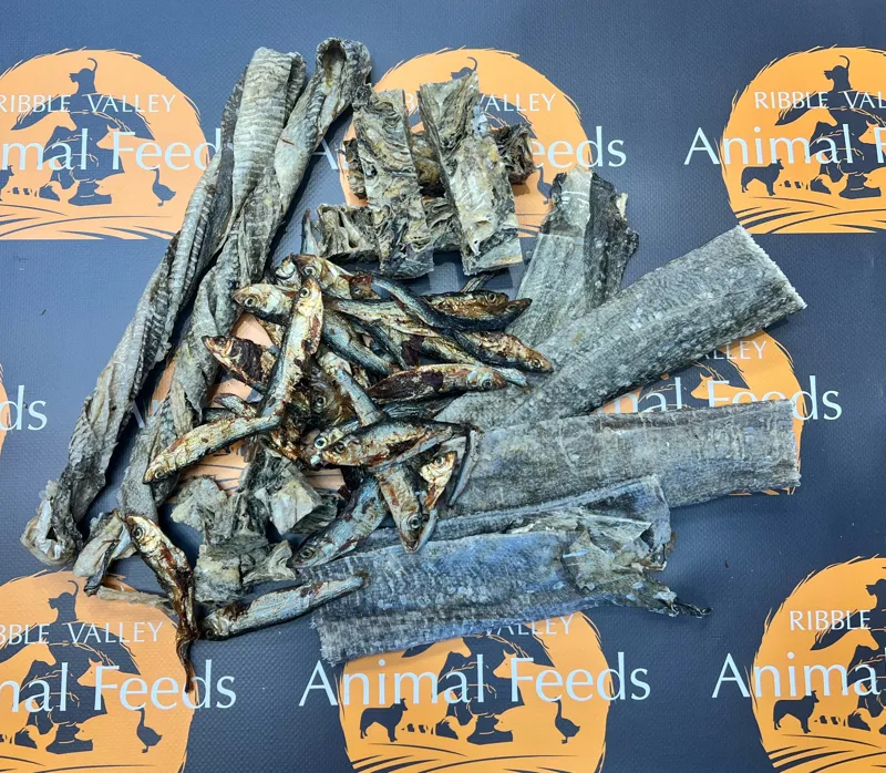 Fishy Favourites Natural Dog Treat Box