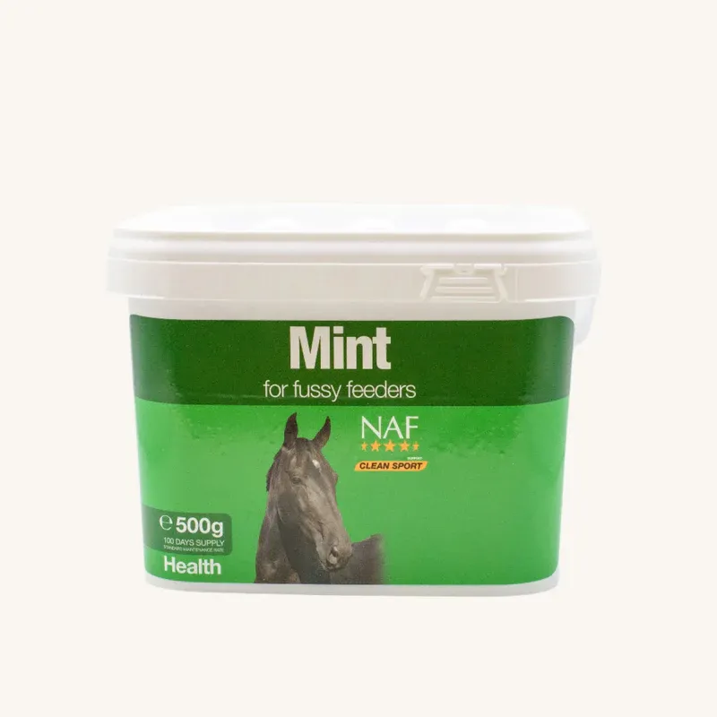 NAF MINT 500G