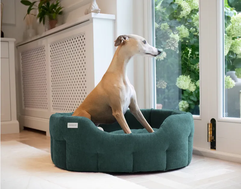 Earthbound Orkney Evergreen MED