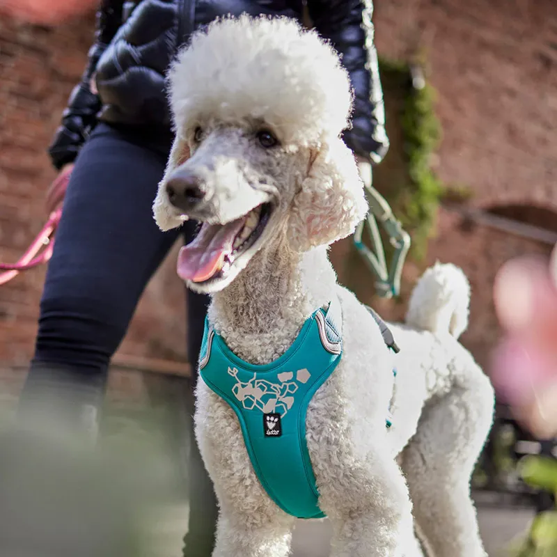 Hurtta Weekend Warrior Harness Peacock 60-80cm