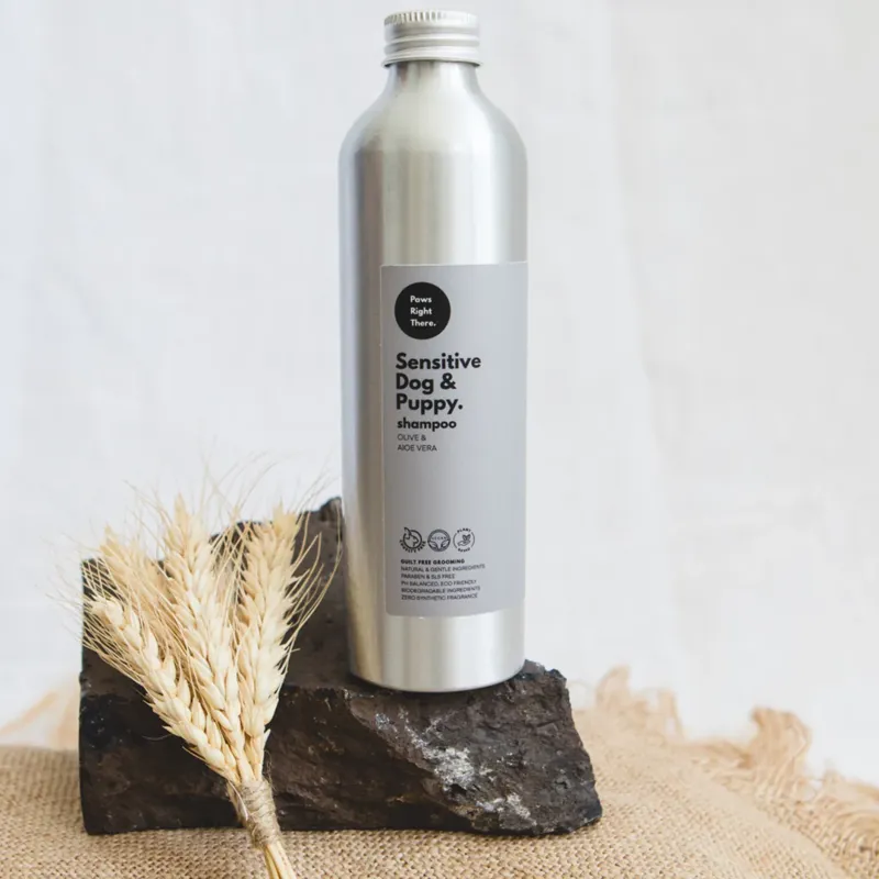Puppy Olive and Aloe Shampoo